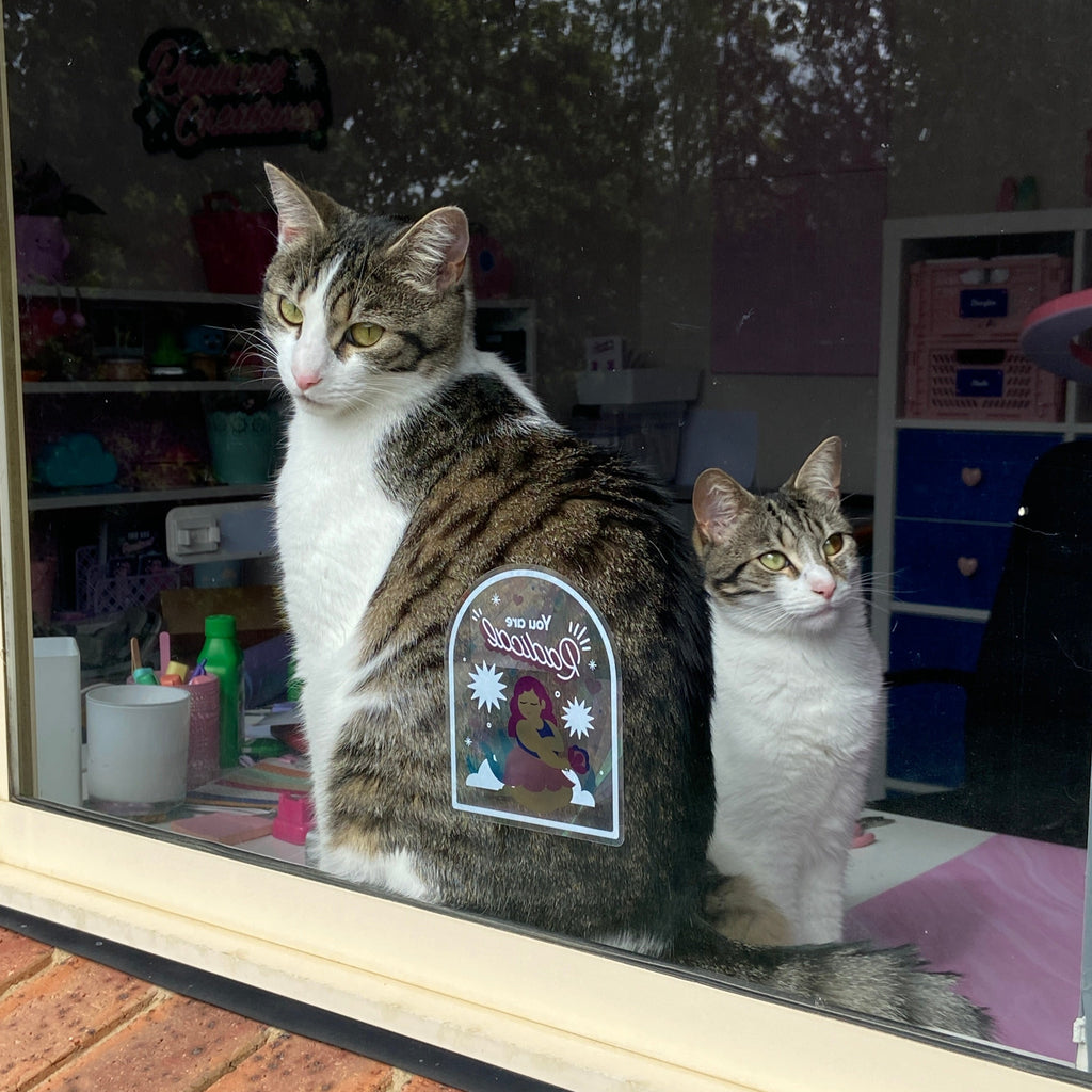 Laura's tabby cats Pretzel and Popcorn looking out the window that has the You Are Radical suncatcher stuck to it.