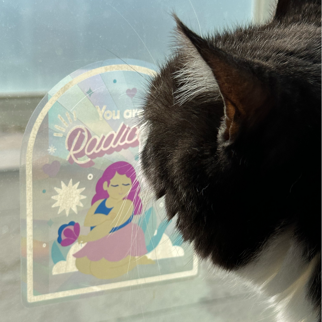 Nina's cat Wilfred sniffing the suncatcher on his window